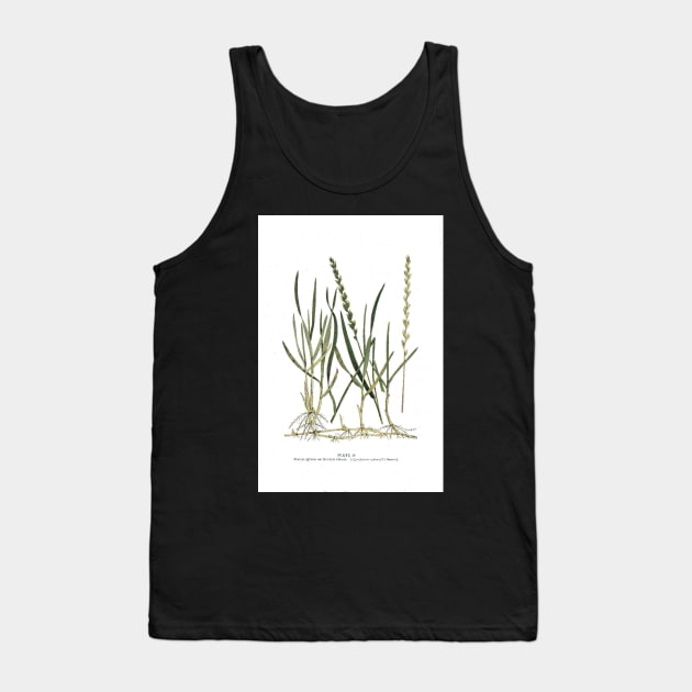 Couch Grass Tank Top by IslandofdeDolls